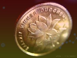 雙匯發(fā)展000895:成本紅利凸顯業(yè)績彈性將逐步釋放